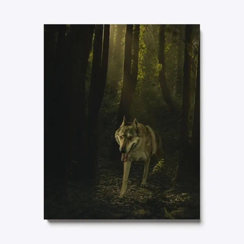 Wolf in the Woods